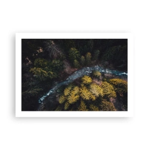 Plagát - Rýchlo, stále rýchlejšie - 70x50 cm