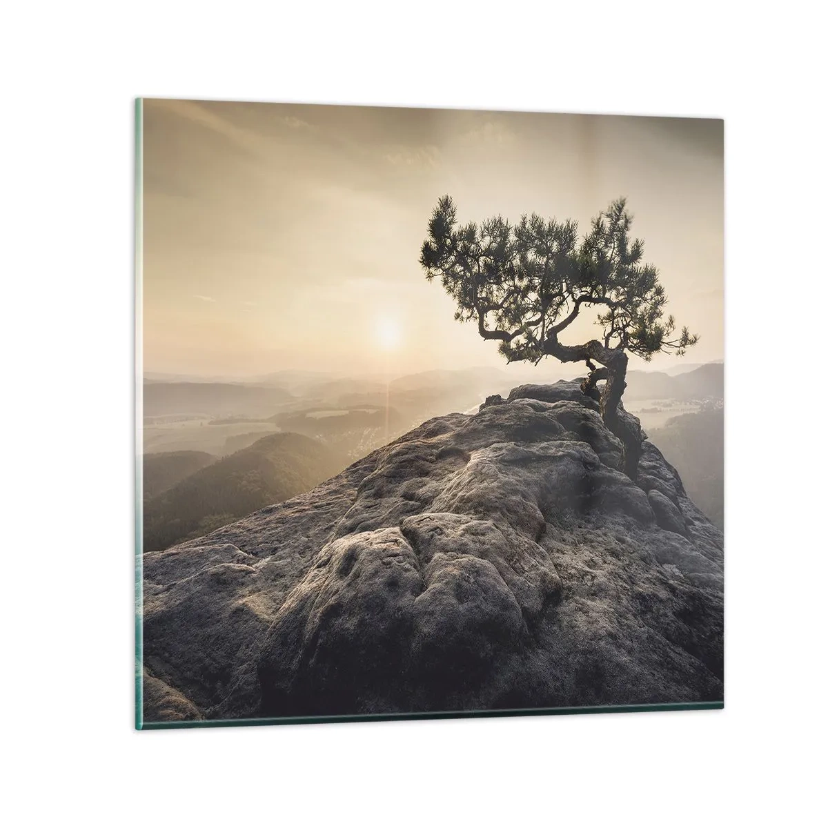 Obraz na skle - Život vždy víťazí - 70x70 cm