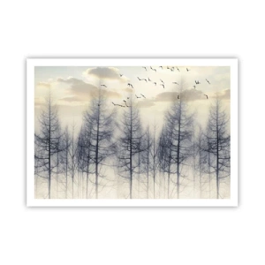 Plagát - Duchovia lesa - 100x70 cm