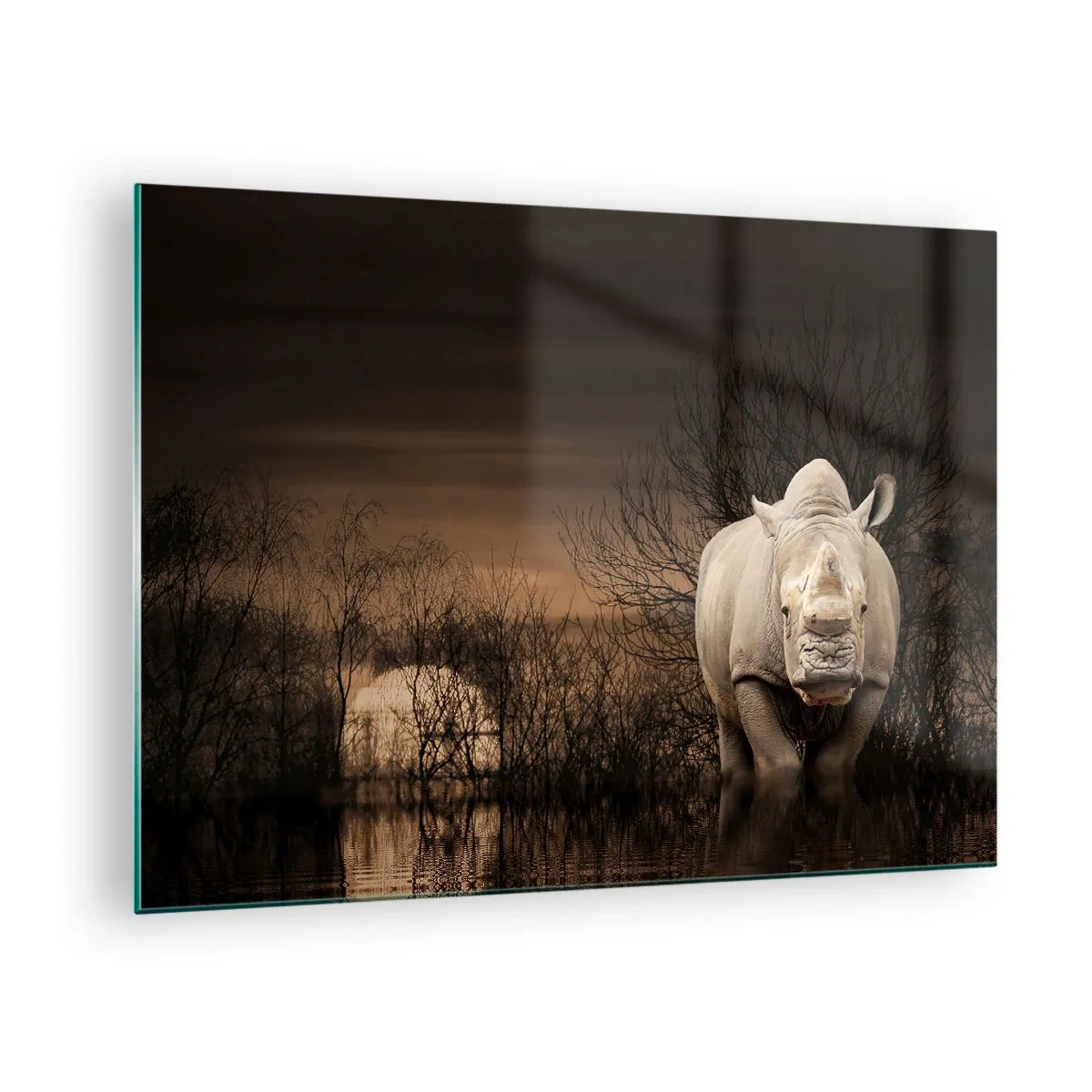 Obraz na skle - Nosorožec proti zapadajúcemu slnku - 70x50cm - Biely proti prírode - Moderná nástenná dekorácia do obývacej izby a spálne ARTTOR
