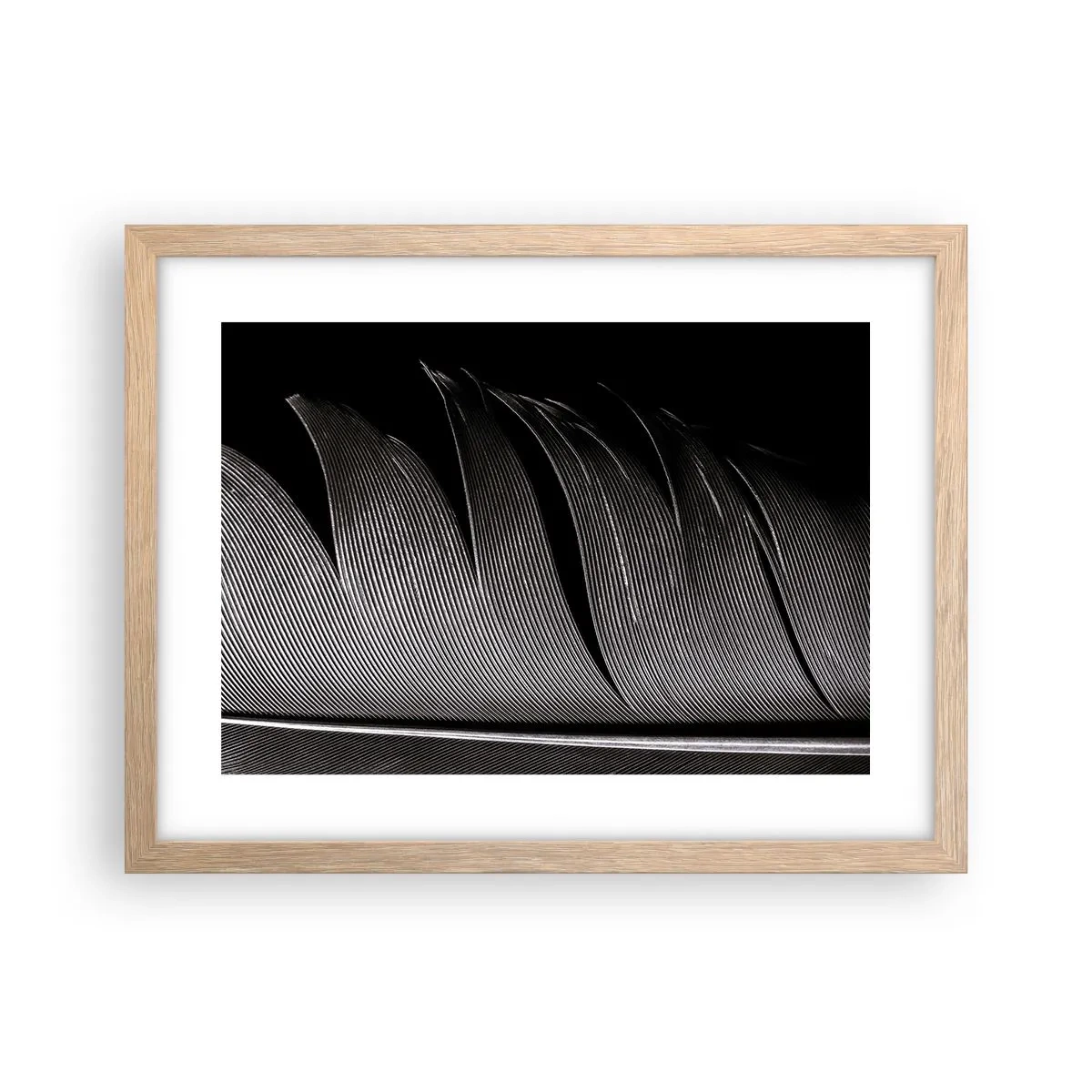 Plagát v ráme zo svetlého duba - Perie – nádherná konštrukcia - 40x30 cm