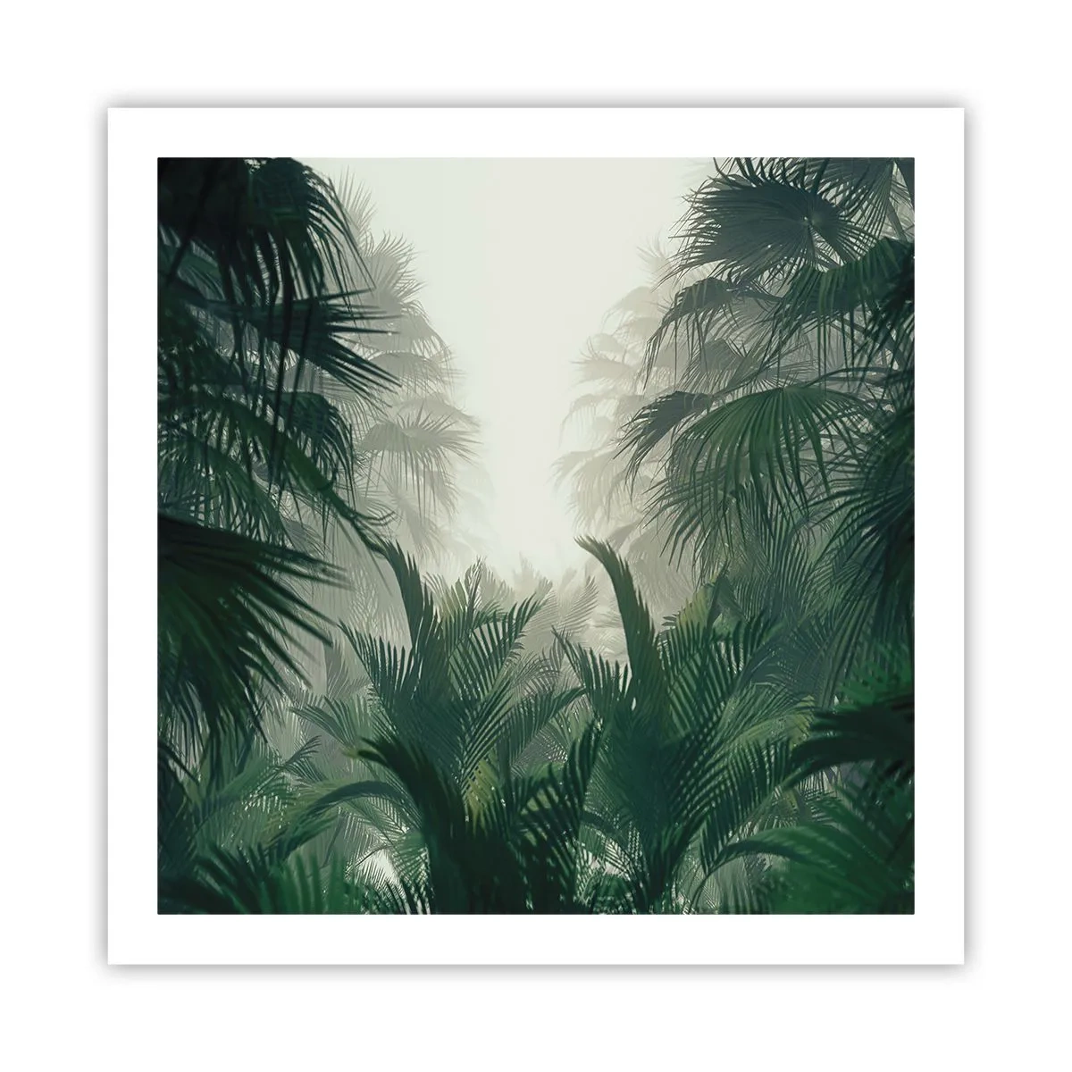 Plagát - Tropická záhada - 60x60 cm