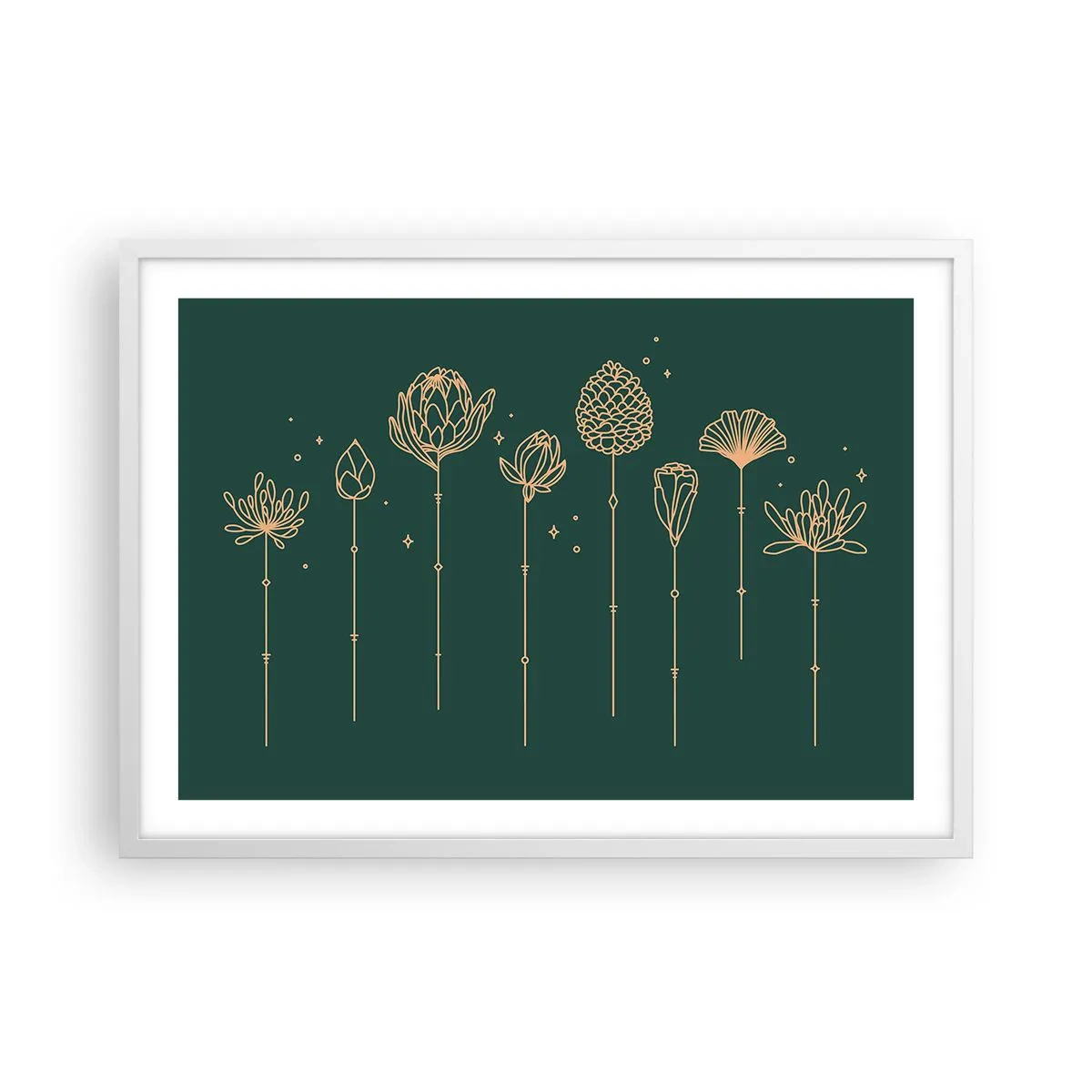 Plagát v bielom ráme - Bylinky - 70x50 cm