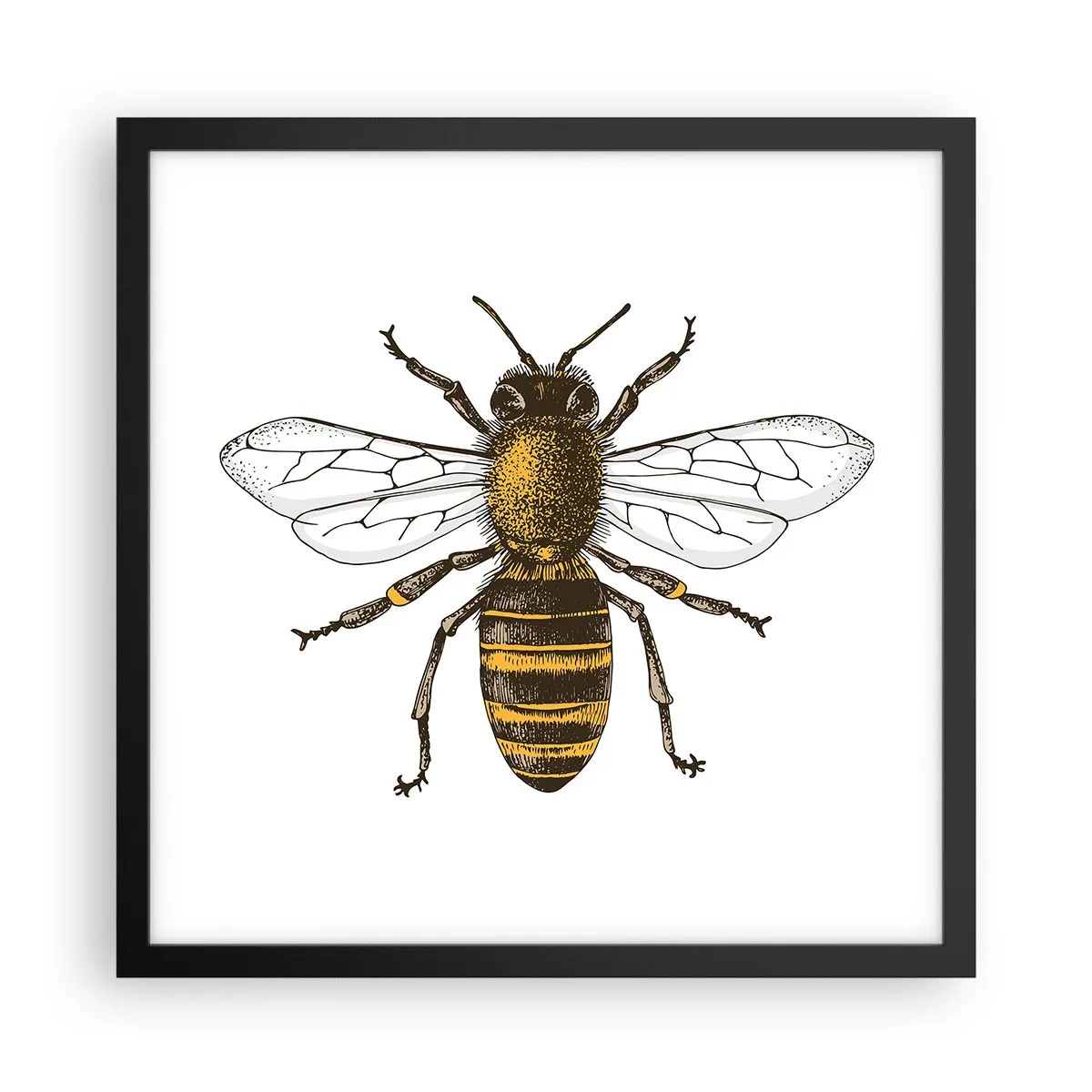 Plagát v čiernom ráme - Krásna a dobrá - 40x40 cm