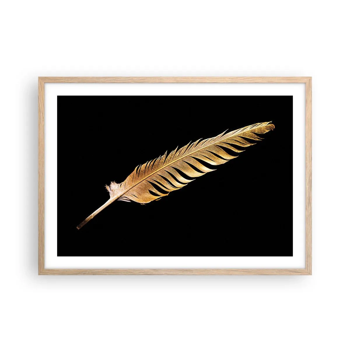Plagát v ráme zo svetlého duba - Krásne pierko… - 70x50 cm