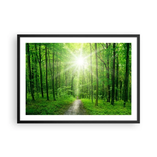 Plagát v čiernom ráme - Zelená katedrála - 70x50 cm