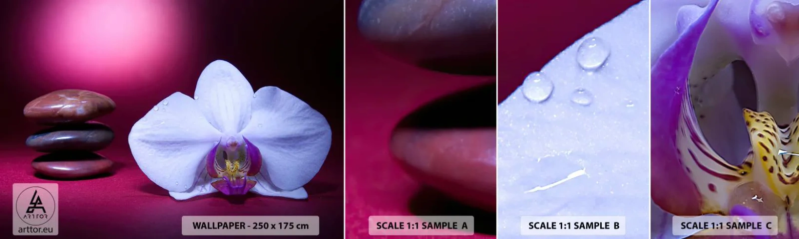 Vzorka Fototapeta Standard Eco - Štúdia sviežosti vo fialovej - Kvety, Kúpele, Kamene - 100x30 cm