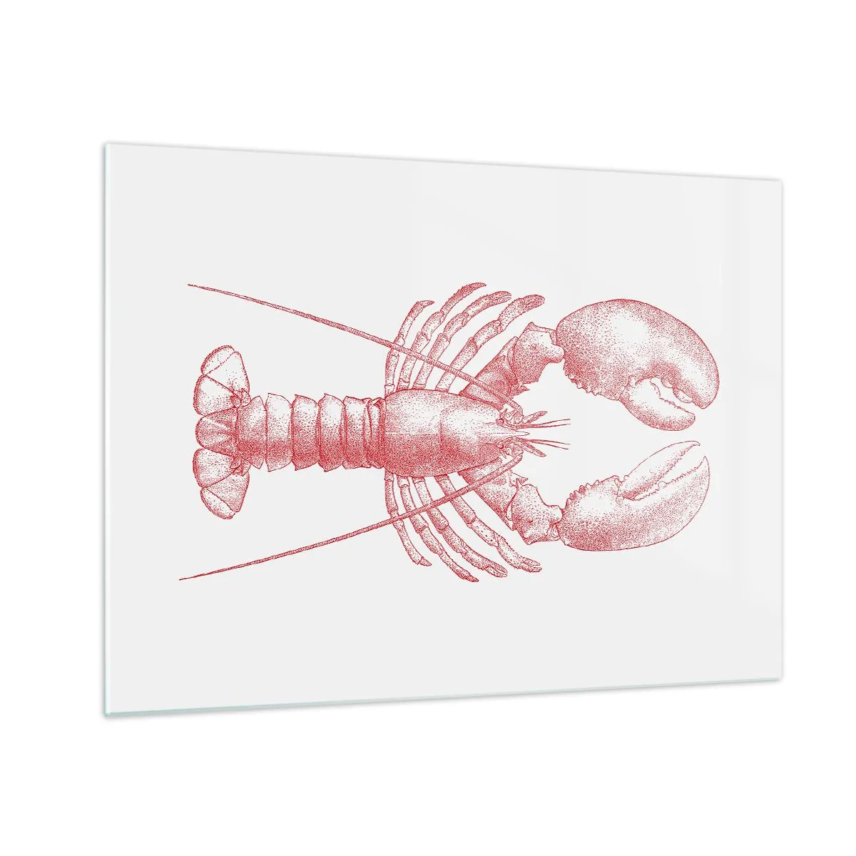 Obraz na skle - Náčrt homára v červenej farbe na svetlom pozadí - 70x50cm - Homár hodný Homéra - Moderná nástenná dekorácia do obývacej izby a spálne ARTTOR