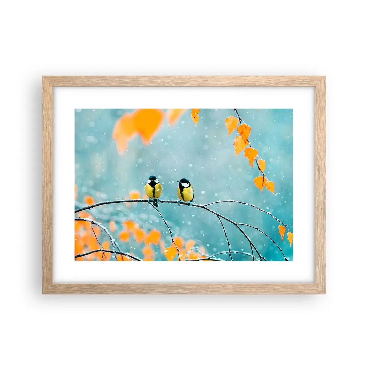 Plagát v ráme zo svetlého duba - Vtáčie klebety - 40x30 cm