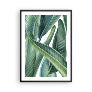 Plagát v čiernom ráme - Zelené banánové listy v akvarelovom štýle - 50x70cm - Proste zelená - Moderná nástenná dekorácia do obývacej izby a spálne ARTTOR
