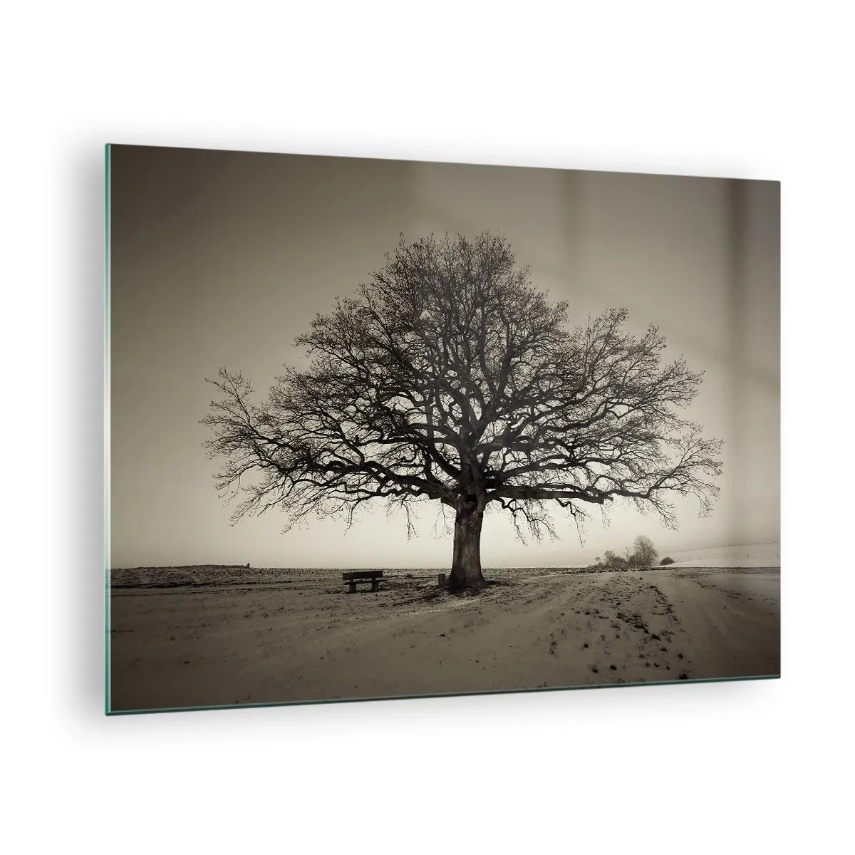 Obraz na skle - Osamelý strom v monochromatickej krajine - 70x50cm - Odtiaľ až do večnosti - Moderná nástenná dekorácia do obývacej izby a spálne ARTTOR
