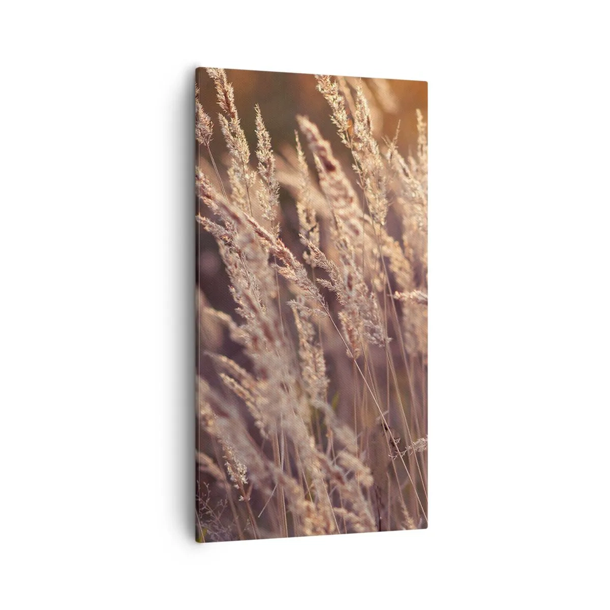 Obraz na plátne - Pripravení privítať jeseň - 55x100 cm