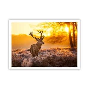 Plagát - Kráľ jesenného lesa - 100x70 cm