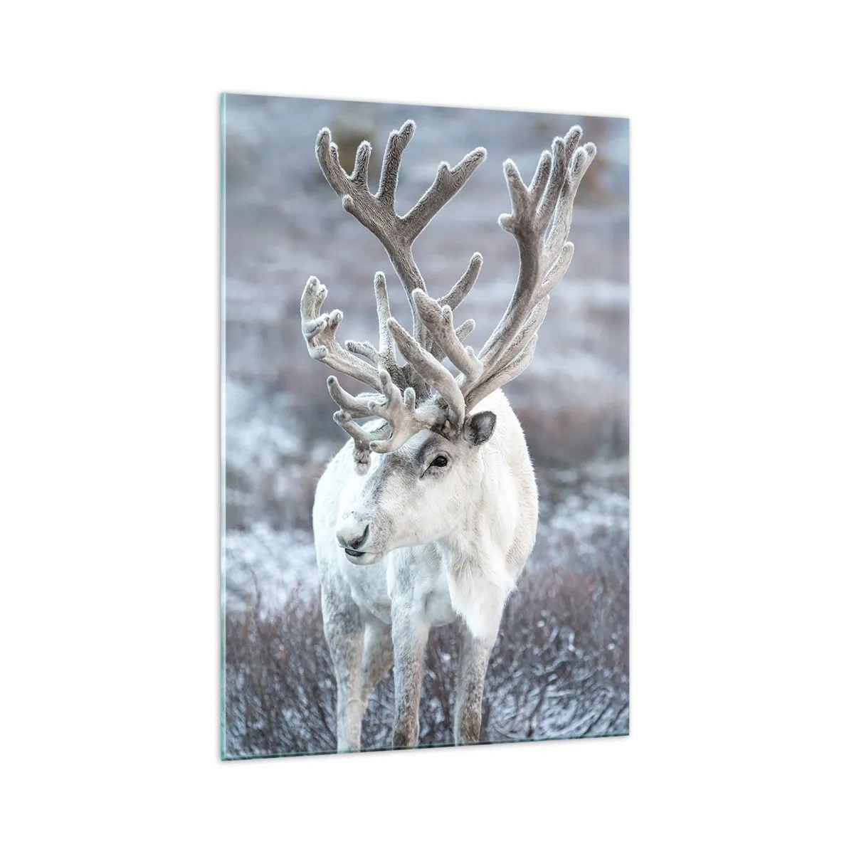 Obraz na skle - Slnečný portrét - 70x100 cm