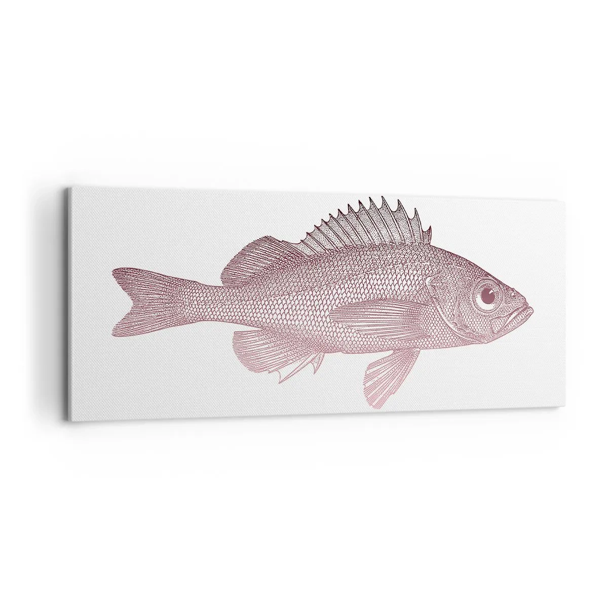 Obraz na plátne - Ryba s veľkými očami - 100x40 cm