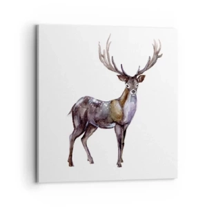 Obraz na plátne - Kráľ polnočnej púšte - 70x70 cm