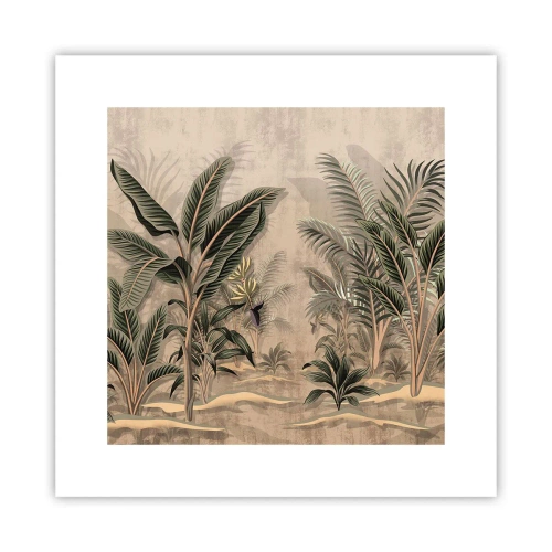 Plagát - Rytina v koloniálnom štýle - 30x30 cm