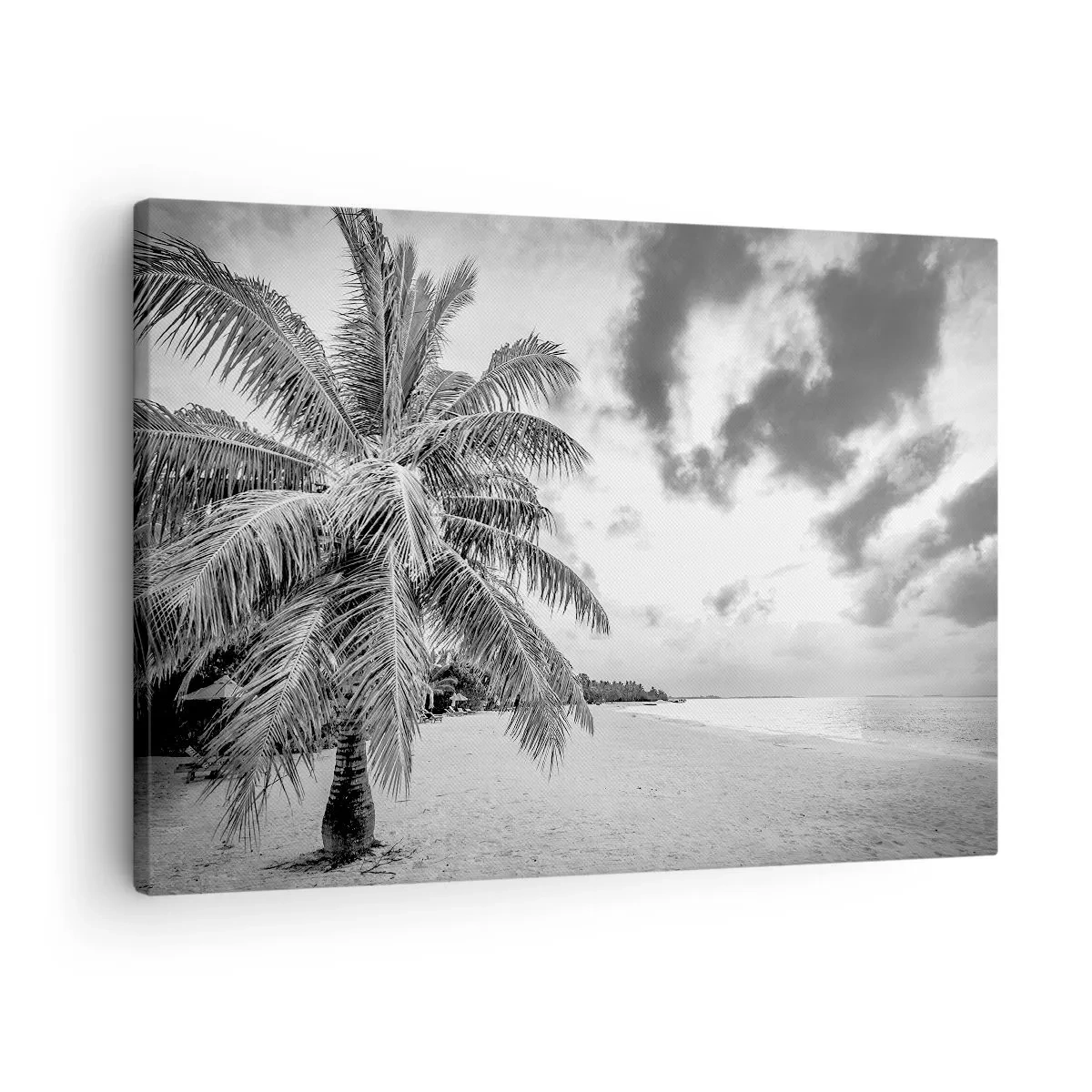 Obraz na plátne - Čierna a biela palma na prázdnej pláži s oblakmi - 70x50cm - Keď túžiš po samote…. - Moderná nástenná dekorácia do obývacej izby a spálne ARTTOR