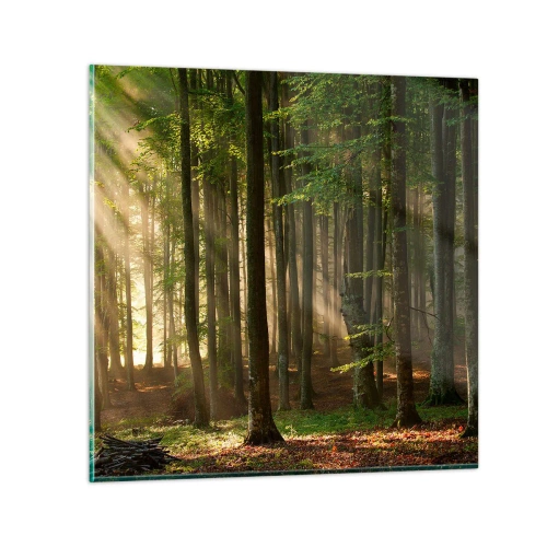 Obraz na skle - Rozžiarený v jarnom ráne - 30x30 cm