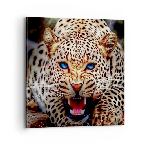 Obraz na plátne - Zlosť kráse neškodí - 70x70 cm