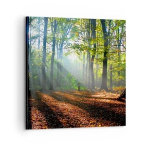 Obraz na plátne - Svetlá a tiene - 60x60 cm