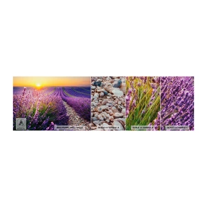 Vzorka fototapety Premium Canvas - Voňavý lán - Krajina, Levanduľové pole, Provence - 100x30 cm