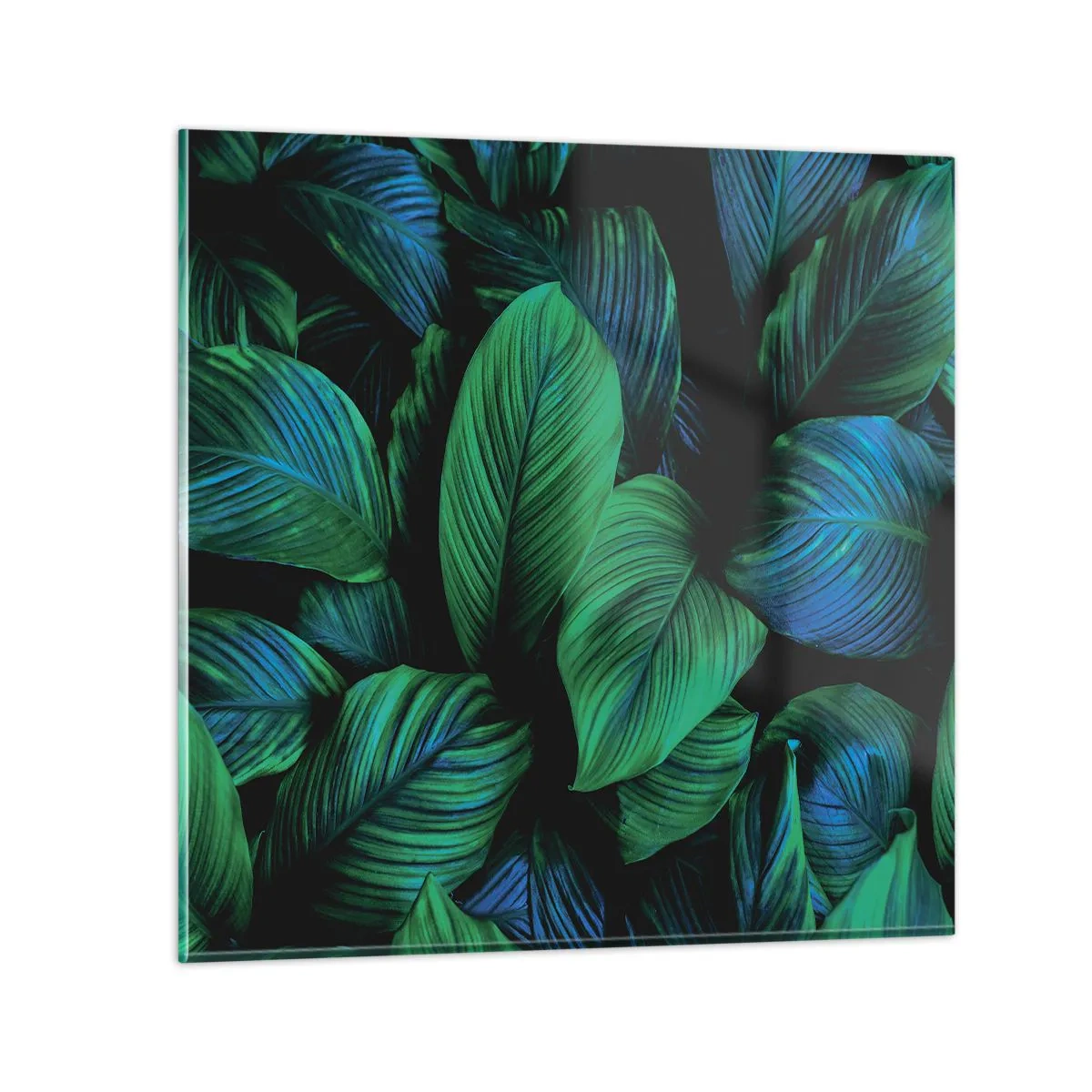 Obraz na skle - V zelenom dave - 70x70 cm