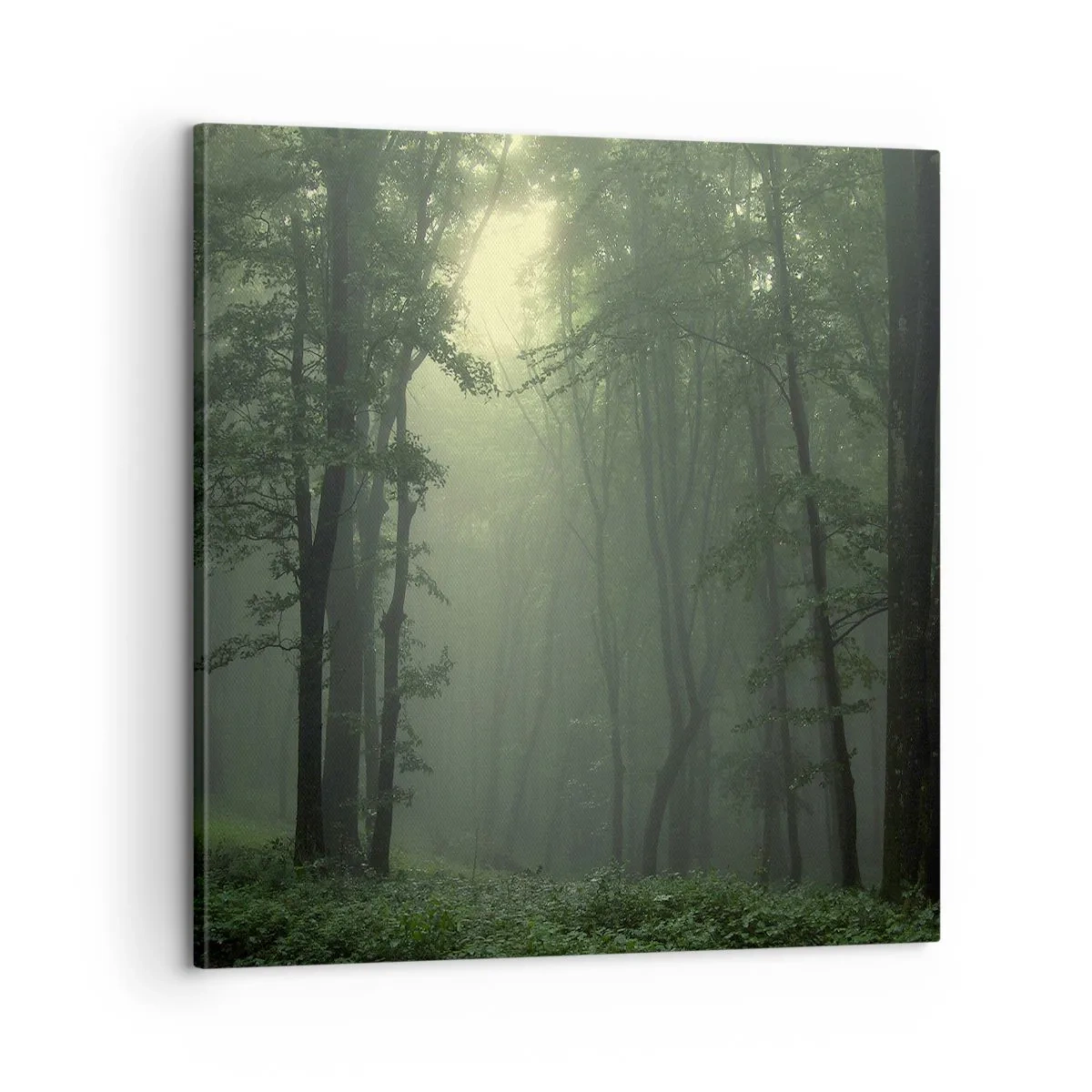 Obraz na plátne - Než sa prebudí - 60x60 cm