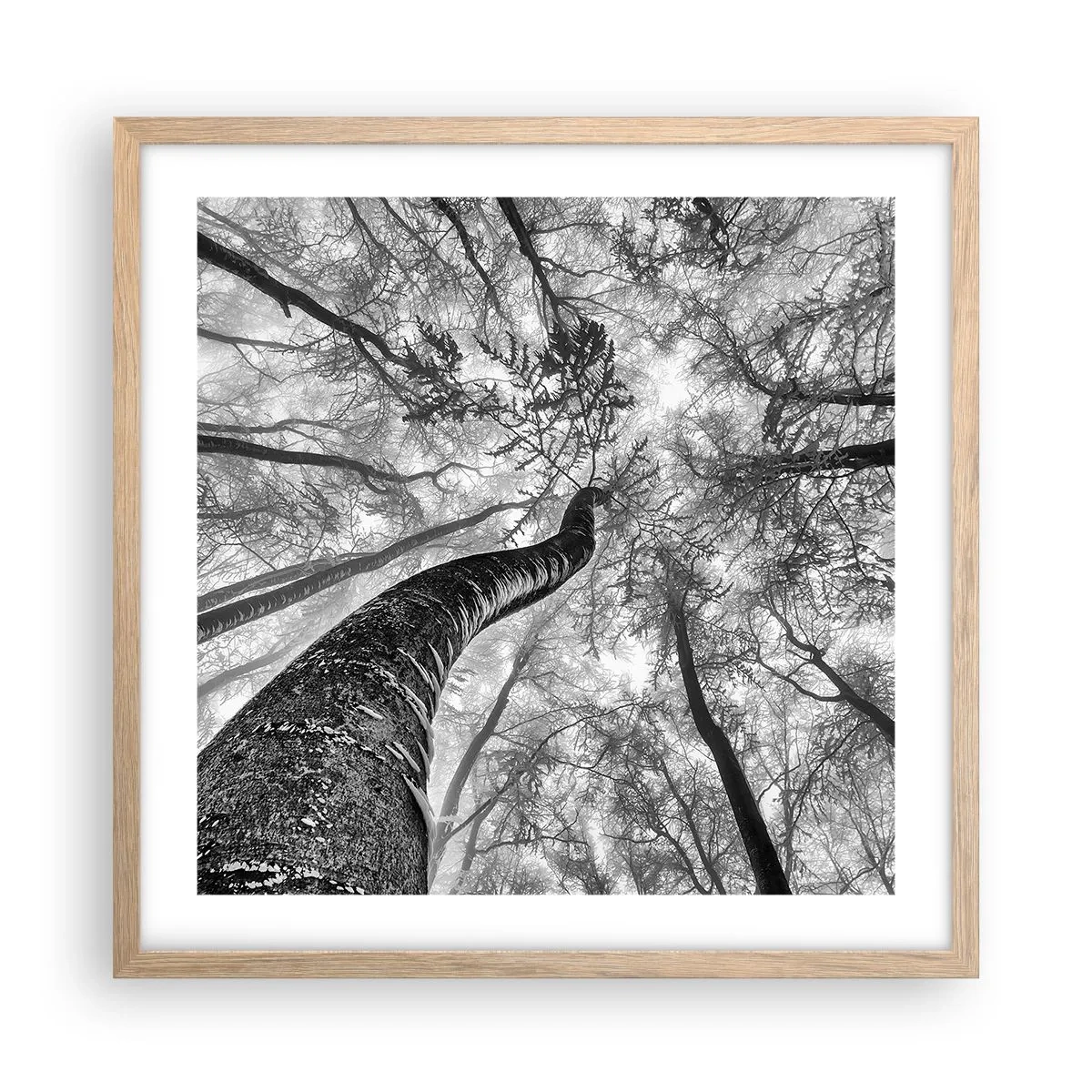 Plagát v ráme zo svetlého duba - Závod ku svetlu - 50x50 cm