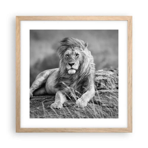 Plagát v ráme zo svetlého duba - Kráľovská siesta - 40x40 cm