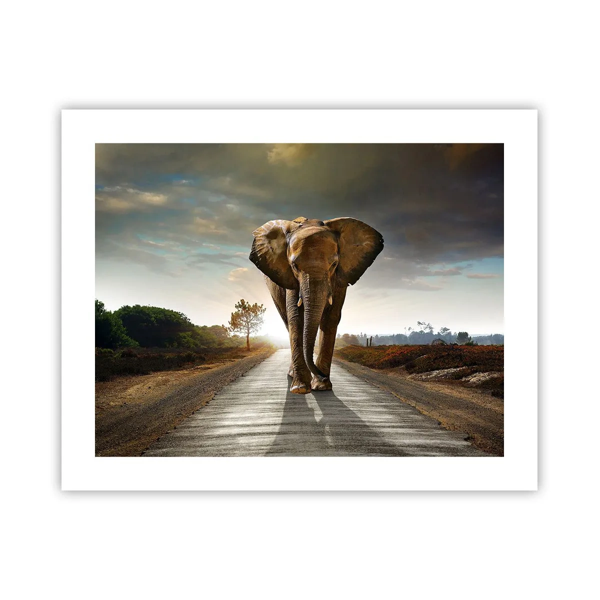 Plagát - A vôbec nie v sklade porcelánu - 50x40 cm