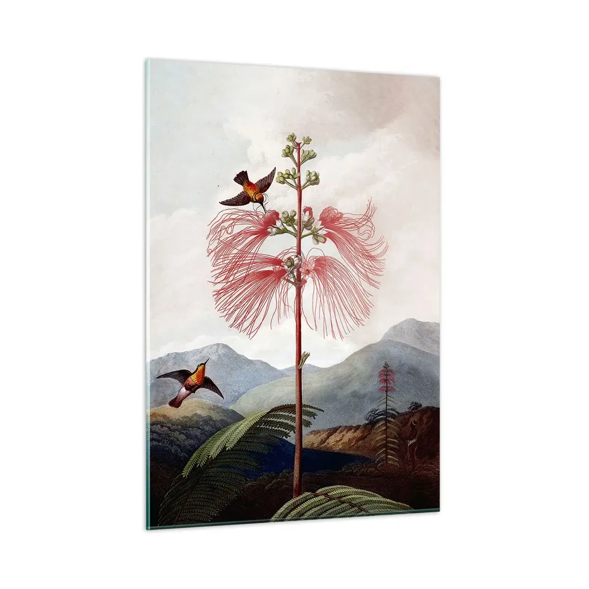 Obraz na skle - V tropickom raji - 50x70 cm