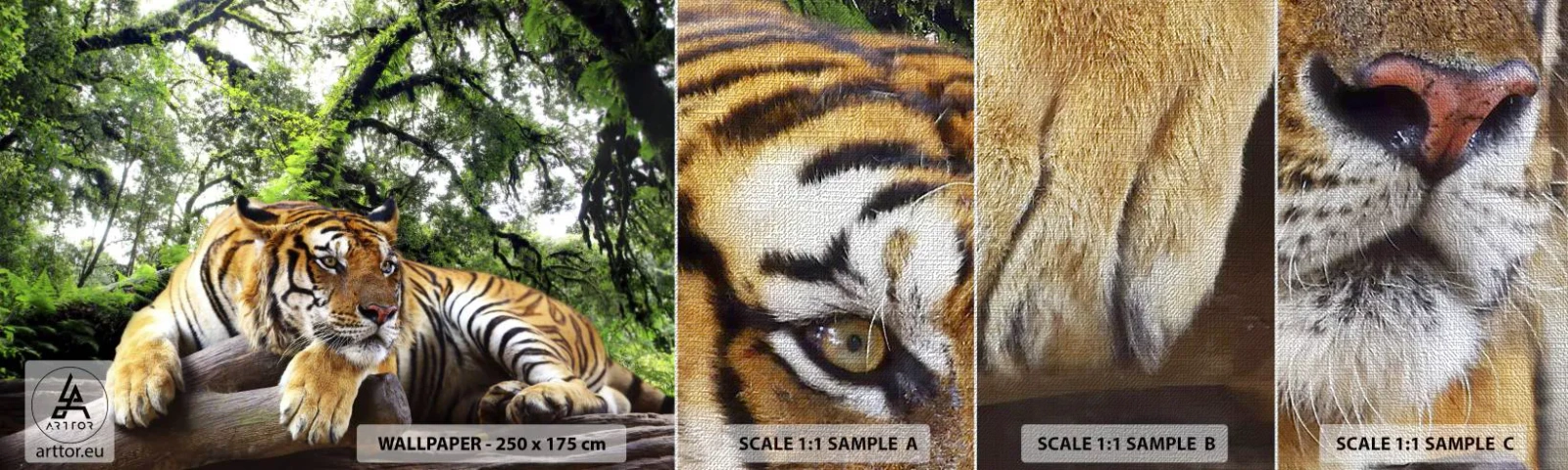 Vzorka fototapety Premium Canvas - S úctou - Tiger, Zvieratá, Predátor - 100x30 cm