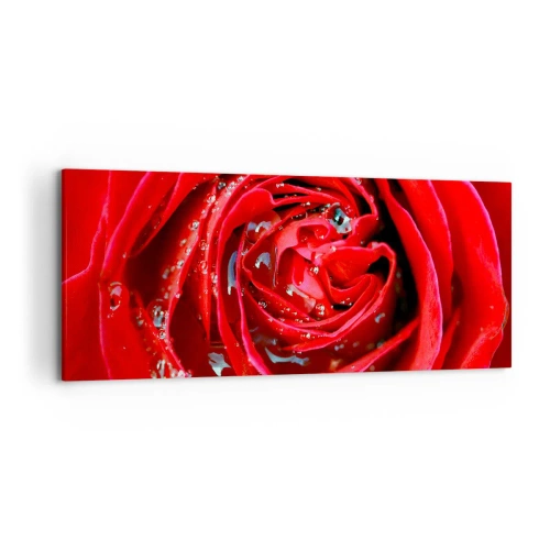 Obraz na plátne - V kvapkách rosy - 120x50 cm