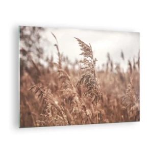 Obraz na skle - Sušené trávy vo vetre v jesennom svetle prírody - 70x50cm - Na poliach už je jeseň - Moderná nástenná dekorácia do obývacej izby a spálne ARTTOR