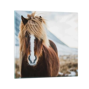 Obraz na skle - Cítiš slobodu? - 70x70 cm