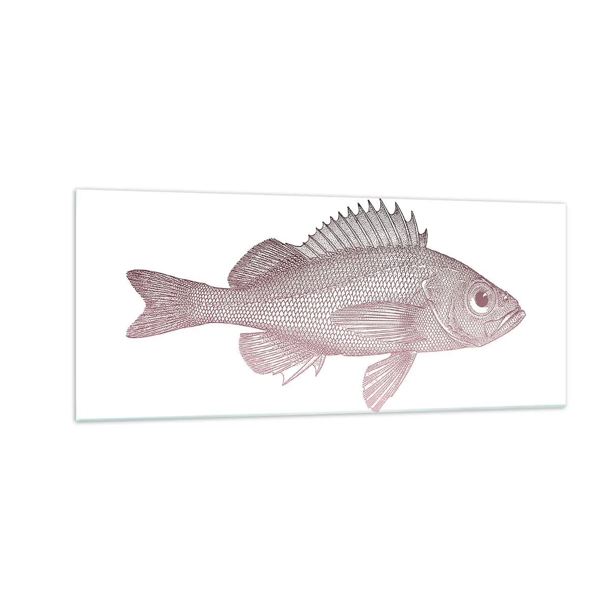 Obraz na skle - Ryba s veľkými očami - 100x40 cm