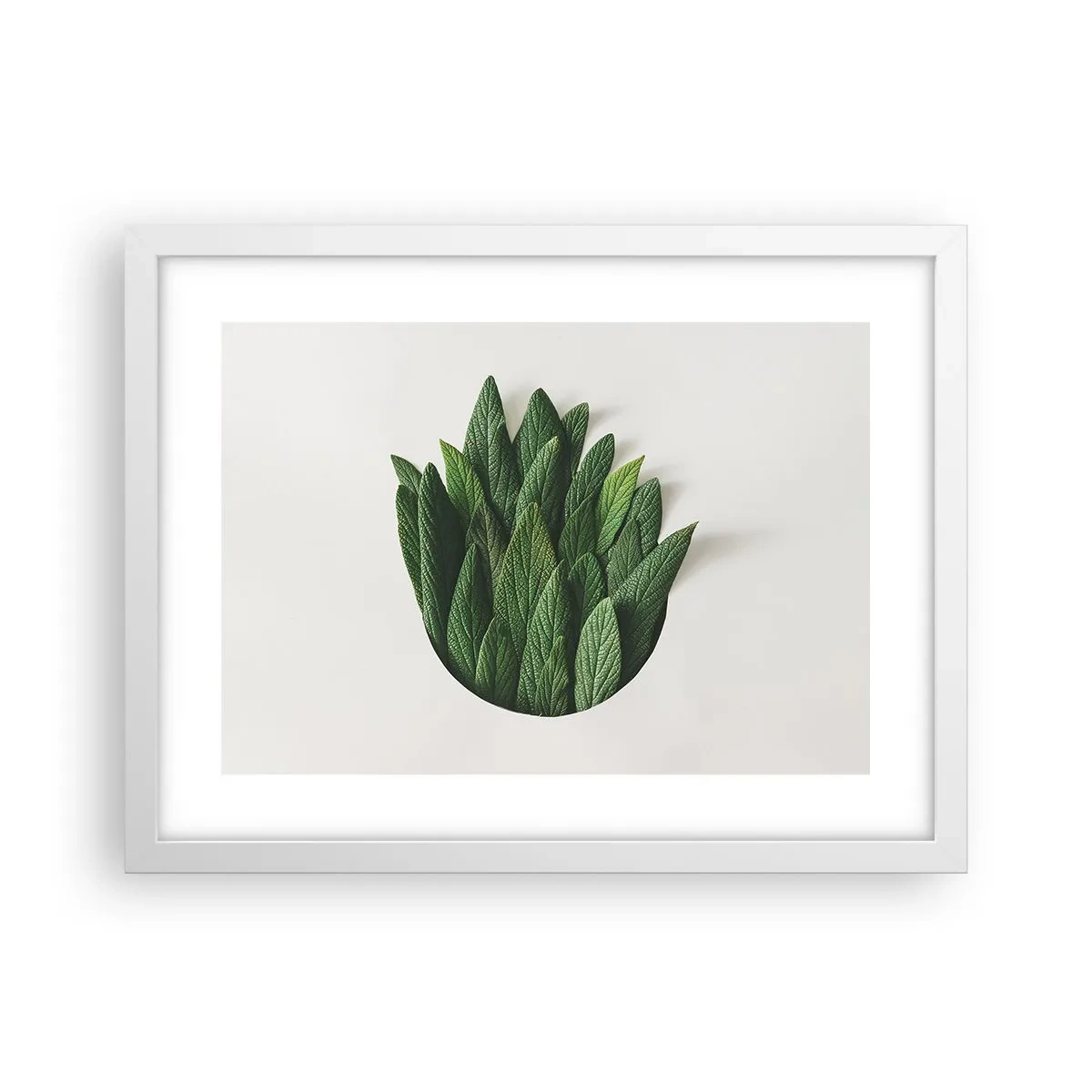 Plagát v bielom ráme - Neukojiteľná zvedavosť - 40x30 cm