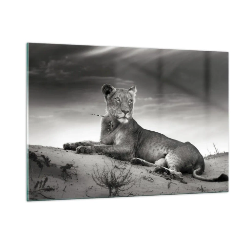 Obraz na skle - Odpočinok kráľovnej púšte - 120x80 cm