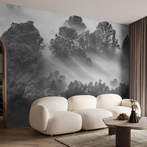 Fototapeta Premium Canvas - Prebúdzanie zo spánku - Krajina, les, Hmla - 500x350 cm