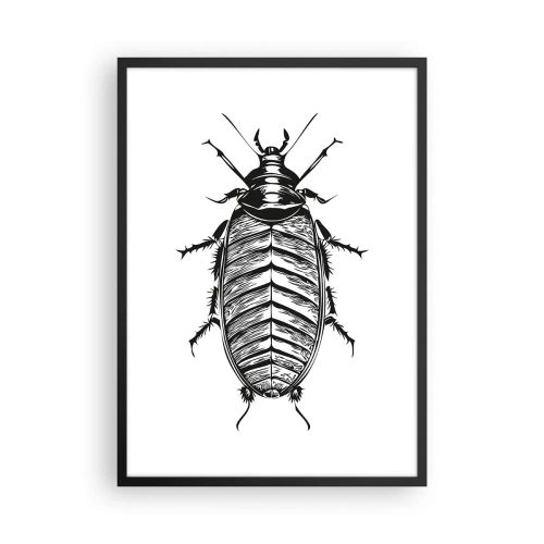 Plagát v čiernom ráme - Čiernobiela ilustrácia hmyzu v maloobchodnom štýle - 50x70cm - Vzorový exemplár! - Moderná nástenná dekorácia do obývacej izby a spálne ARTTOR