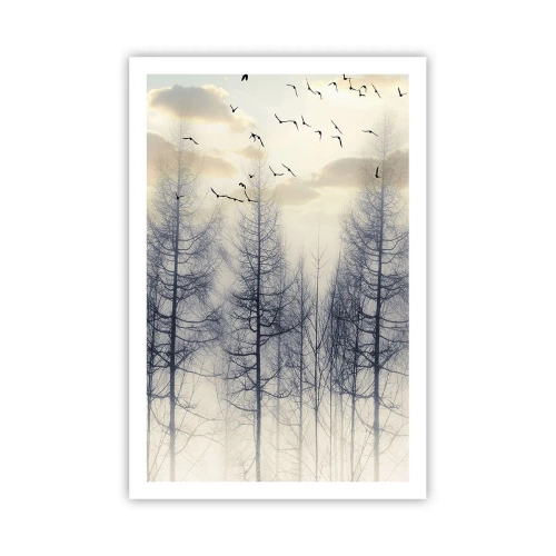 Plagát - Duchovia lesa - 61x91 cm