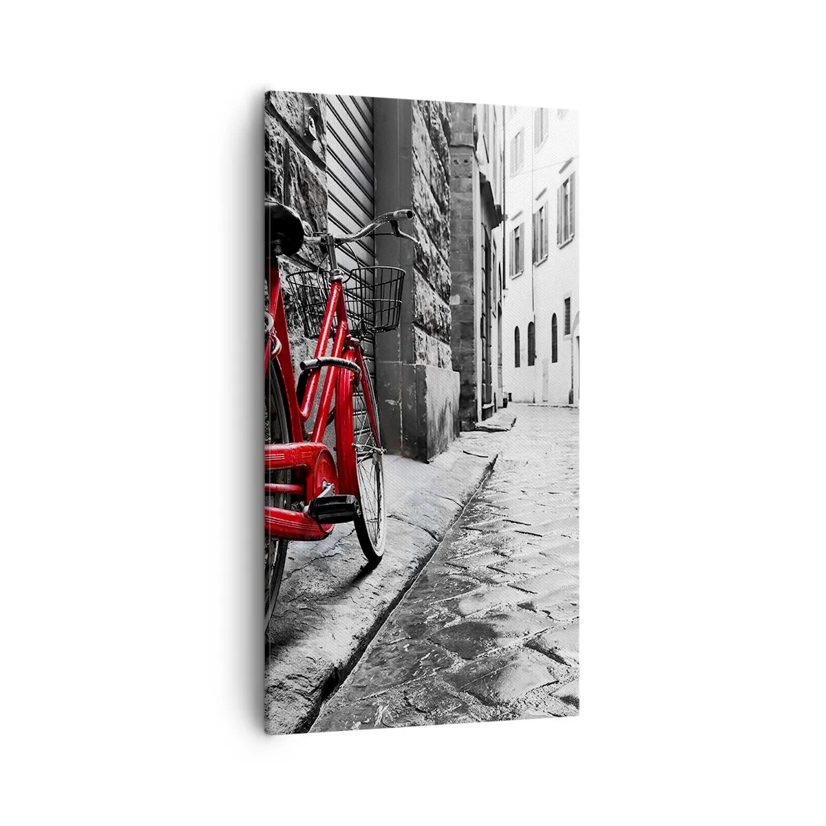 Obraz na plátne - Skutočná krása nestarne - 55x100 cm