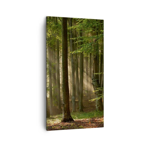 Obraz na plátne - Rozžiarený v jarnom ráne - 45x80 cm