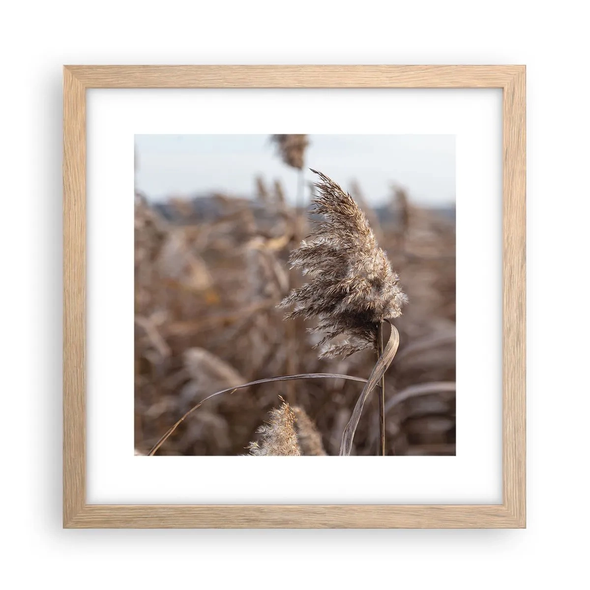 Plagát v ráme zo svetlého duba - Čas odletieť s vetrom - 30x30 cm