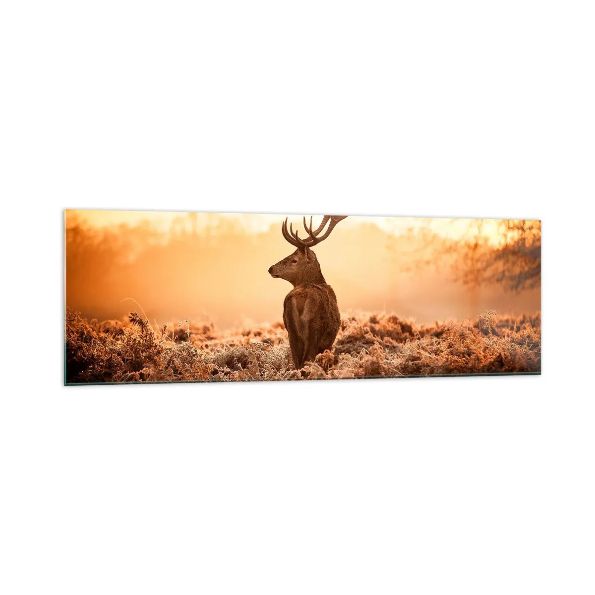 Obraz na skle - Pán na panstve - 160x50 cm