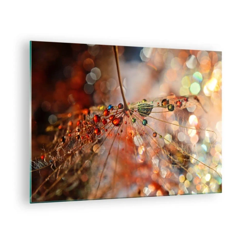 Obraz na skle - Kvapky vody na jemnej pavučine v bokeh svetle - 70x50cm - Navlečené na pavučinu - Moderná nástenná dekorácia do obývacej izby a spálne ARTTOR