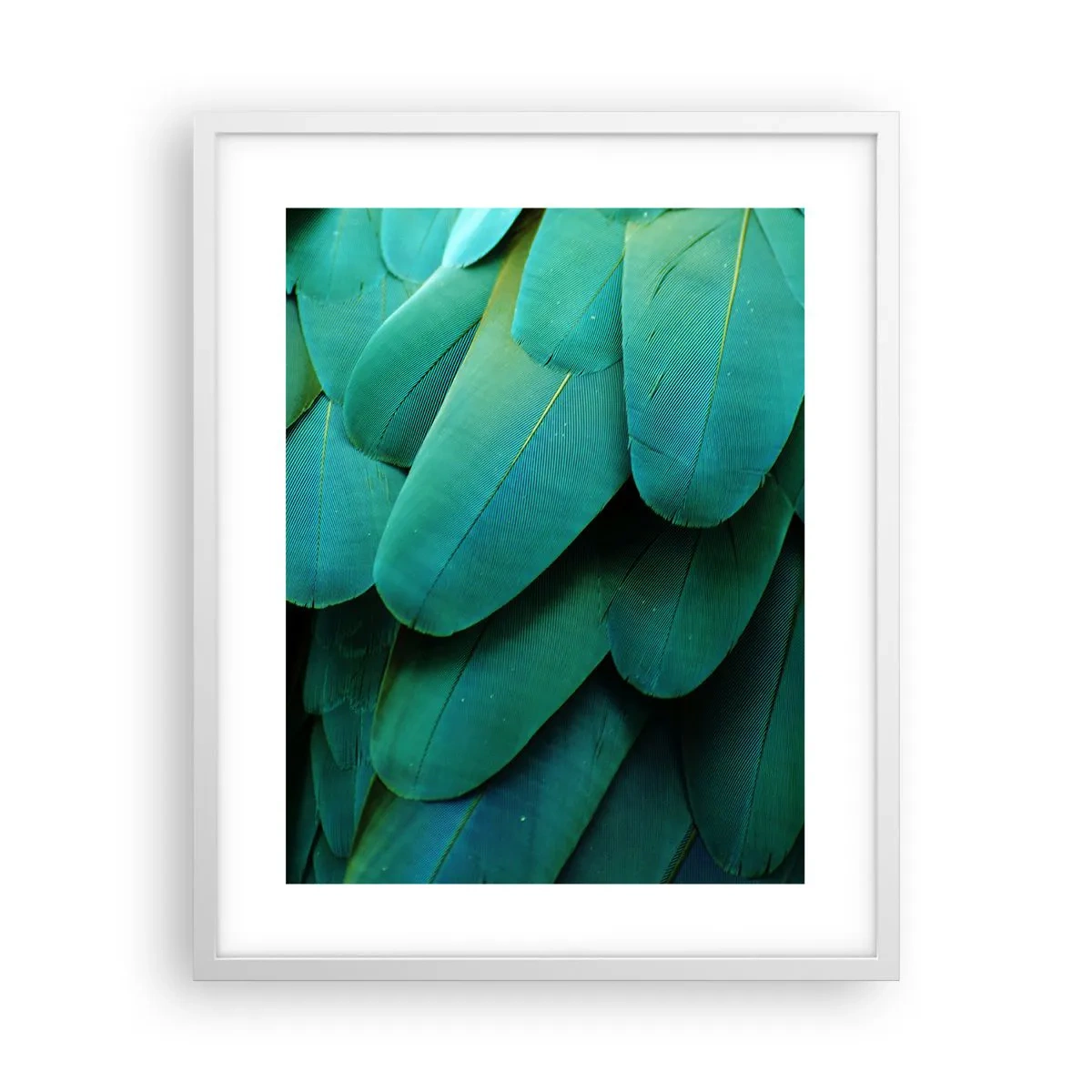 Plagát v bielom ráme - Presnosť papagájovej povahy - 40x50 cm