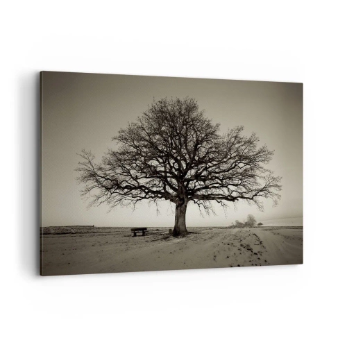Obraz na plátne - Odtiaľ až do večnosti - 120x80 cm