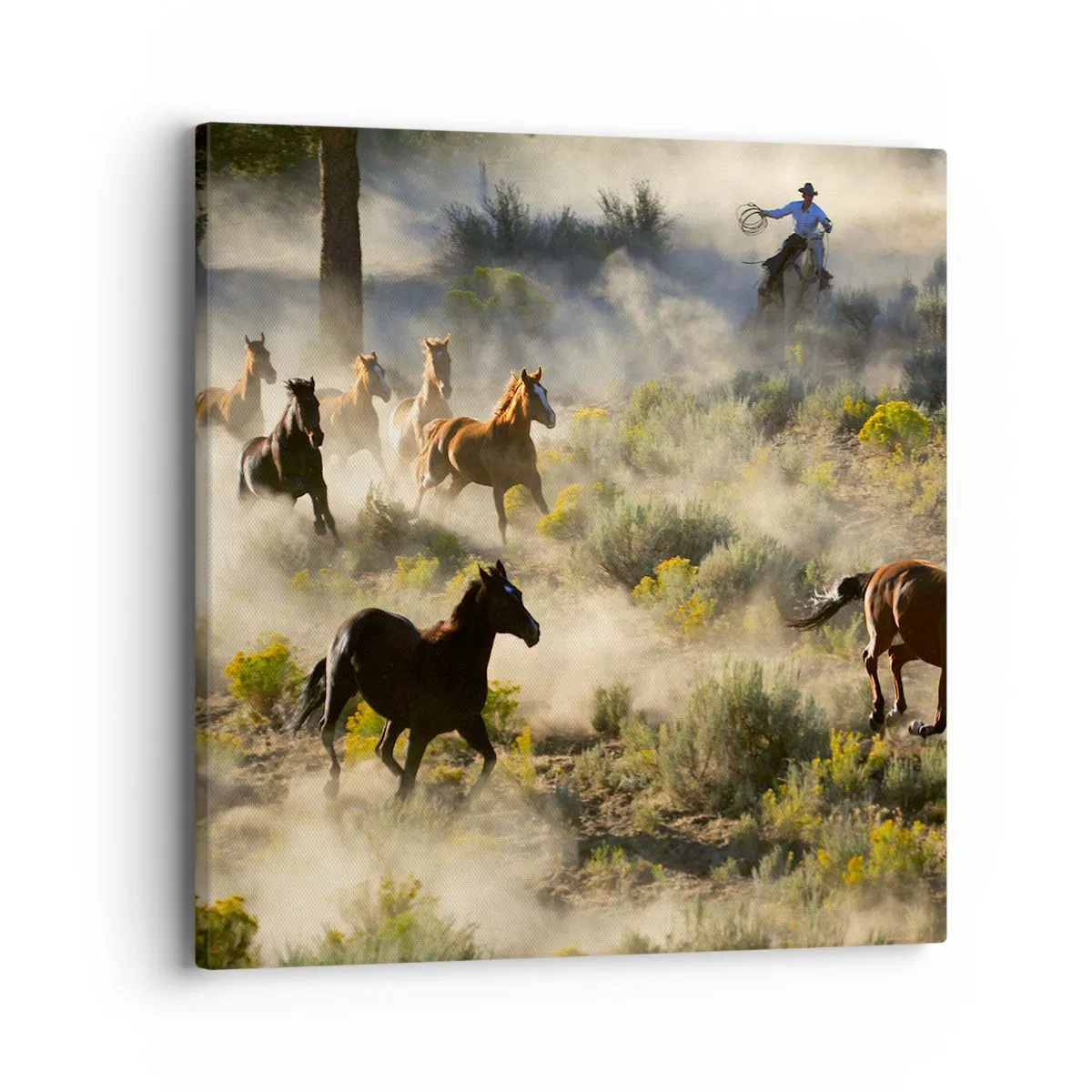 Obraz na plátne - Rivalita - sloboda alebo mužská sila? - 40x40 cm